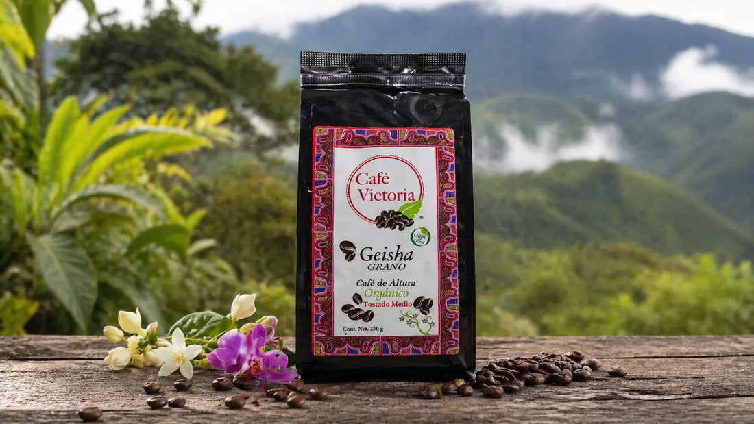 Café Victoria Geisha coffee bag 250g — USDA Organic and Kosher certified Panama Geisha coffee