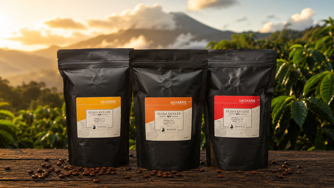 Lamastus Family Estates Catuai coffee — Washed, Honey, and Natural processing — from Elida Estate, Boquete, Panama