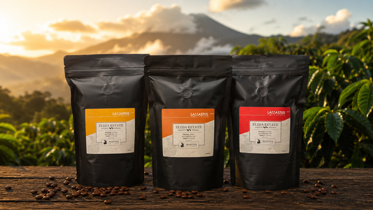 Lamastus Family Estates Catuai coffee — Washed, Honey, and Natural processing — from Elida Estate, Boquete, Panama