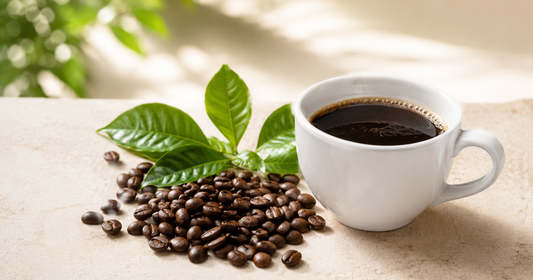 Fresh specialty coffee beans and a clean cup of black coffee on a light surface