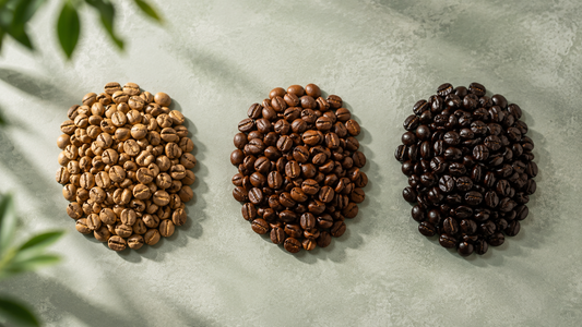 Light, medium and dark roast coffee beans side by side, showing the color and oil differences between roast levels.