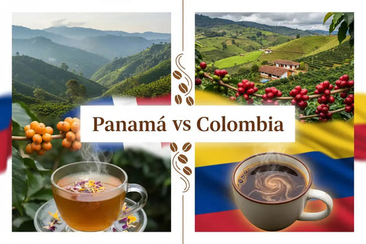 Panama coffee beans and Colombian coffee beans side by side for a flavor comparison