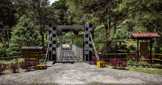 Gran Del Val coffee estate at Finca Gran Paraiso, Los Naranjos, Boquete - meeting point of the Boquete coffee tour